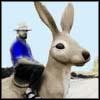 Will Shetterly profile picture