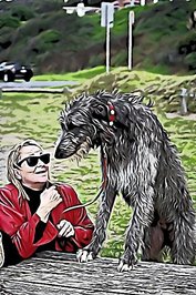 Tabitha Ormiston-Smith profile picture