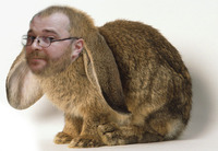 Andrei Pogorilowski profile picture