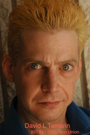 David L. Tamarin profile picture