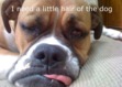 Ebook A Little Hair of the Dog read Online! Ebook A Little Hair of the Dog read Online!