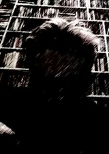 Tim Davys profile picture