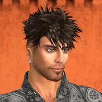 Nemo Euler profile picture