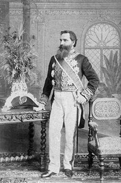 Čedomilj Mijatović profile picture