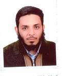 Wael El-Manzalawy