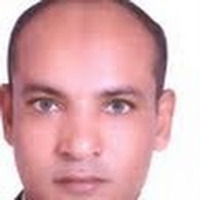 ماهر فرغلي