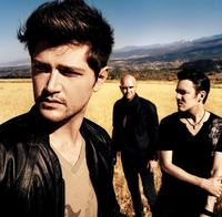 The Script