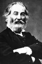 Huston Piner