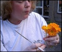 Nene Adams profile picture
