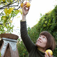Lori Eanes profile picture
