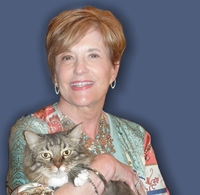 Lynda Stephenson profile picture