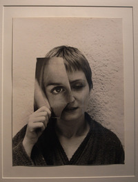 Marcel Mariën profile picture