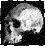 Allan R. Luna profile picture