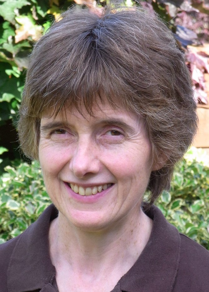 Sally Jenkins (Author of Waiting for a Bright New Future)