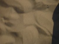 Maria Dee profile picture