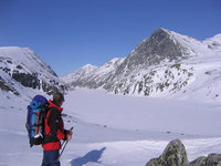 Stuart Montgomery profile picture
