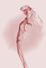 Phoebe Lane profile picture