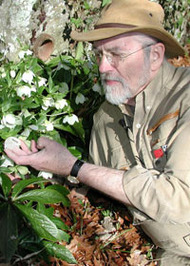 Peter Loewer profile picture