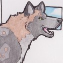 Sasha Distan profile picture