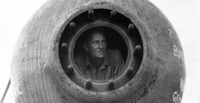 William Beebe profile picture