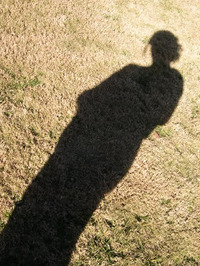 Ophelia Cox profile picture