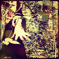 M. Jet profile picture