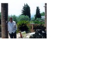 Ron Millicent profile picture