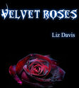 Liz Davis