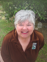 Jana Bommersbach profile picture