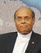 منصف المرزوقي