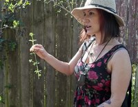 Rebecca Lerner profile picture
