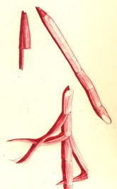 Mikkel Ørsted Sauzet