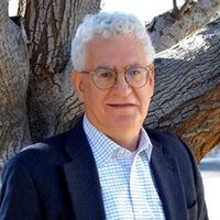 Harry Stein profile picture