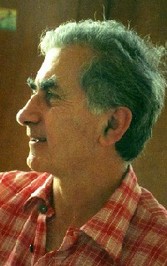 Gabriel Josipovici