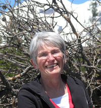 Elizabeth C. Main