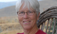 Susan Wicklund profile picture