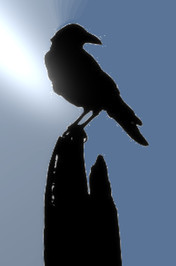 Korban Blake profile picture