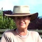 Sue Welford profile picture