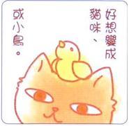 Neko Kanda profile picture