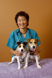 Sophia Yin profile picture