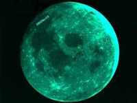 Amara Chenevert profile picture