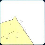 Souta Narazaki profile picture