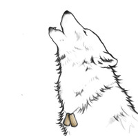 Lia Silver profile picture