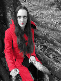 Steff Metal profile picture