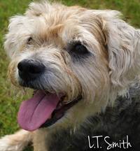 L.T. Smith profile picture