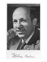 Melvin Calvin profile picture
