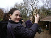 Elizabeth        Rose profile picture