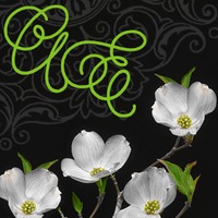 Annie  Evans profile picture
