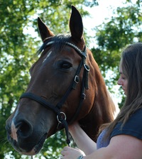 T.J. Wooldridge profile picture