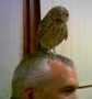 Kevin Parr profile picture
